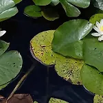 Prázdninový dům Bonheur A La Campagne