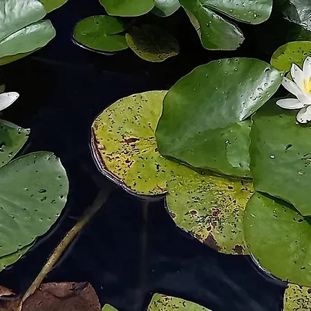 Prázdninový dům Bonheur A La Campagne